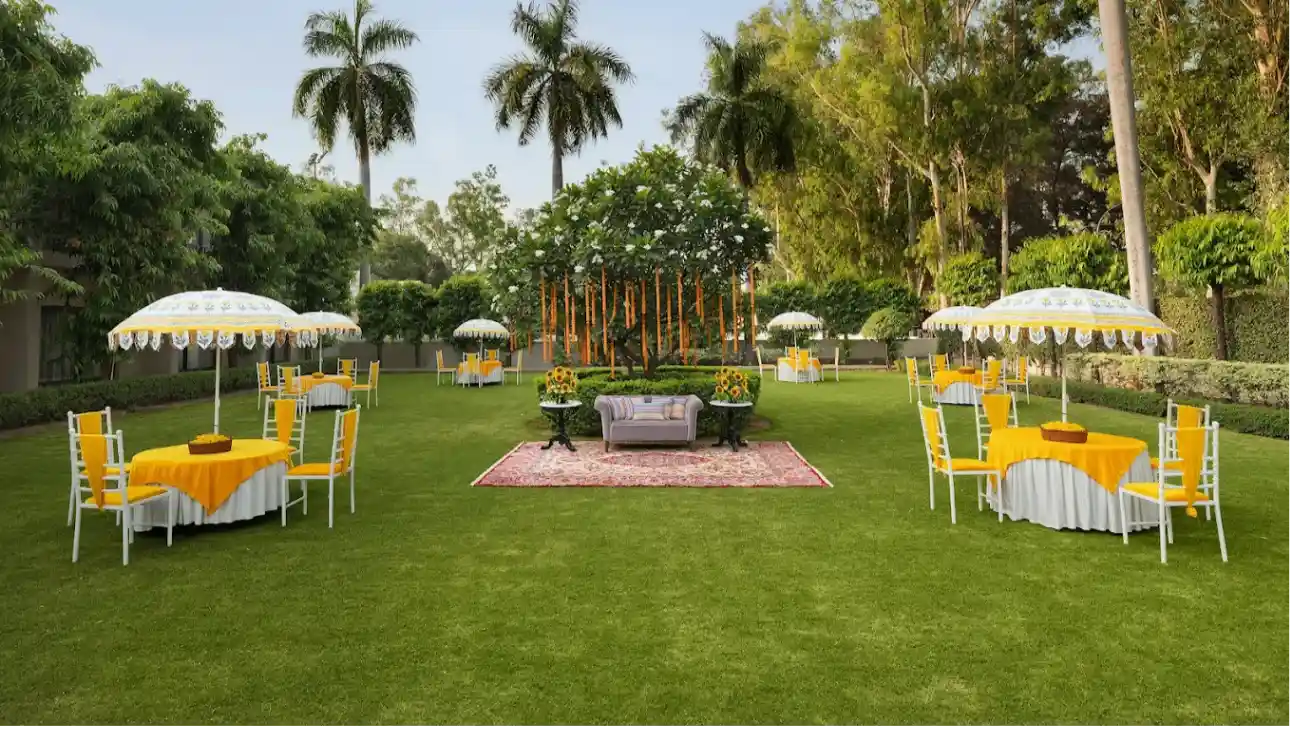 MAIN LAWN